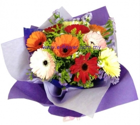 Cheer Gerberas